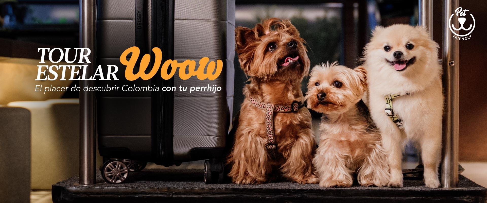 ESTELAR Villavicencio Hotel & Convention Center Colombia - Villavicencio  ESTELAR Villavicencio Hotel & Convention Center Colombia - Villavicencio